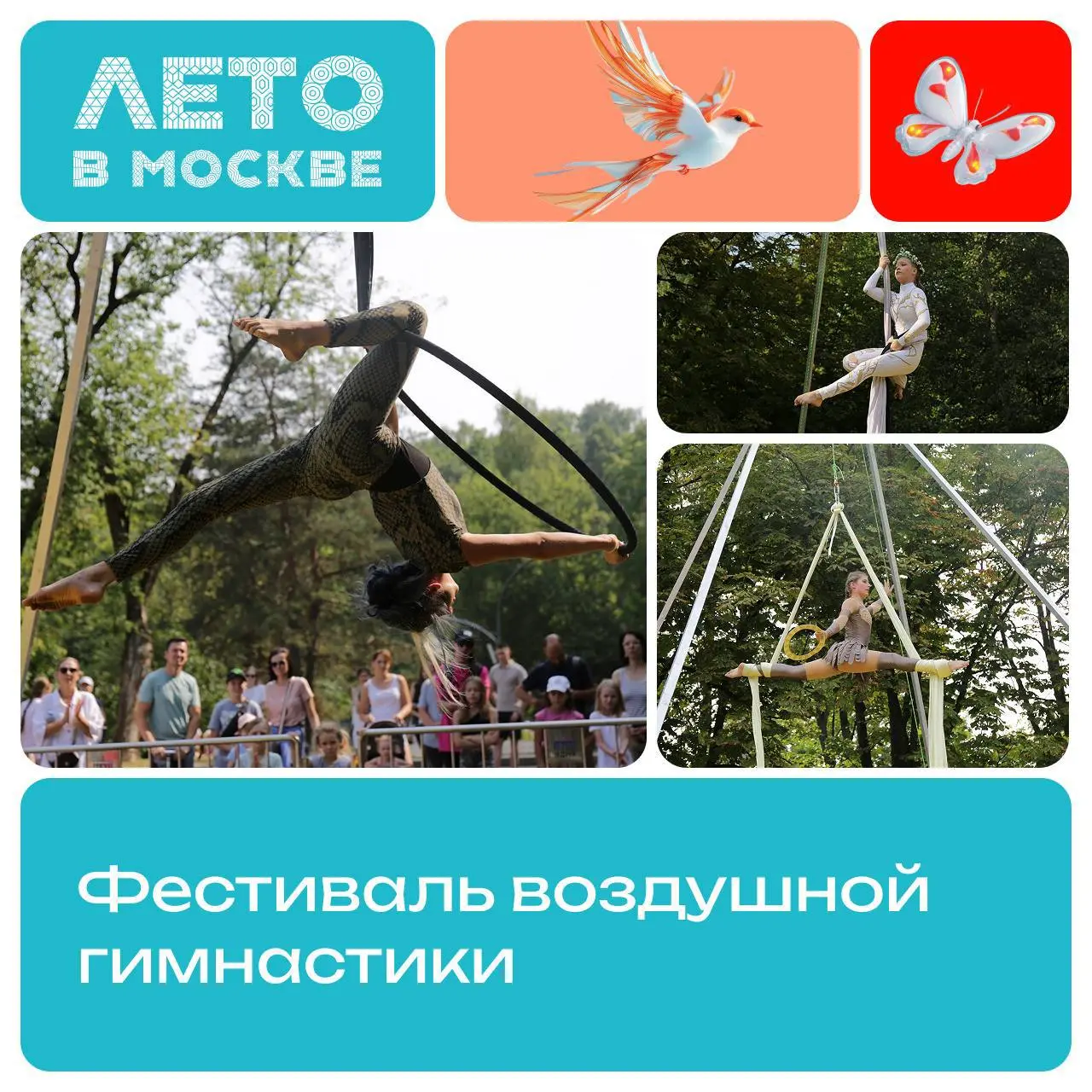 Праздник спорта и циркового искусства: фестиваль «Ты — сердце воздуха»
