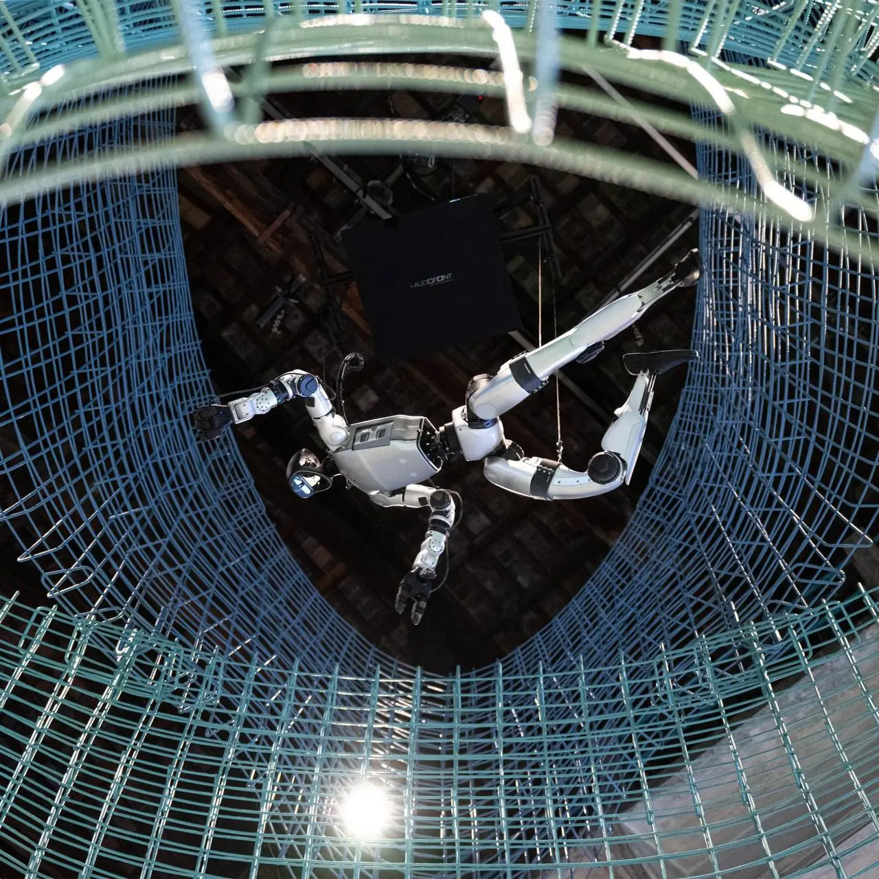 Венецианская биеннале архитектуры 2025