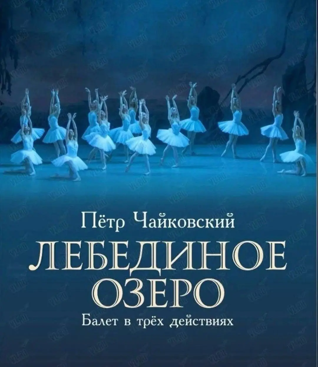 Балет "Лебединое озеро" в Мариинском театре