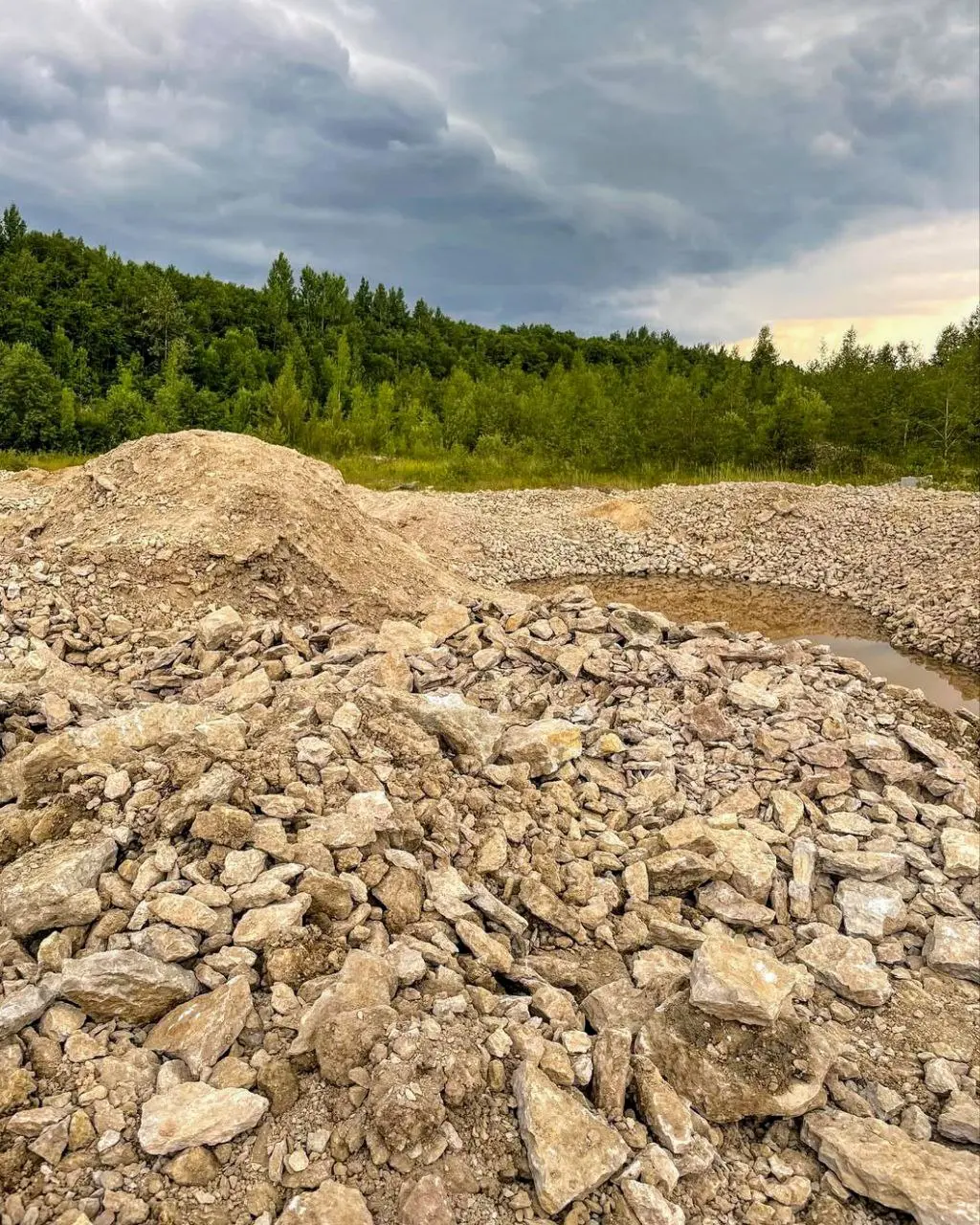 Палеопарк Путилово