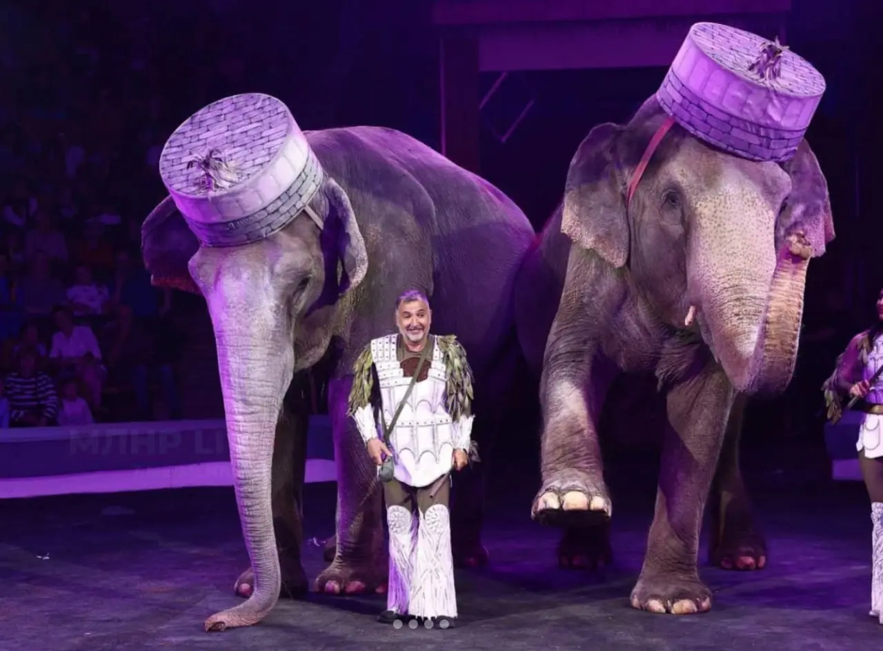 Итальянский цирк: слоны и тигры в Луганском цирке (7 июня - 13 июля 2025)