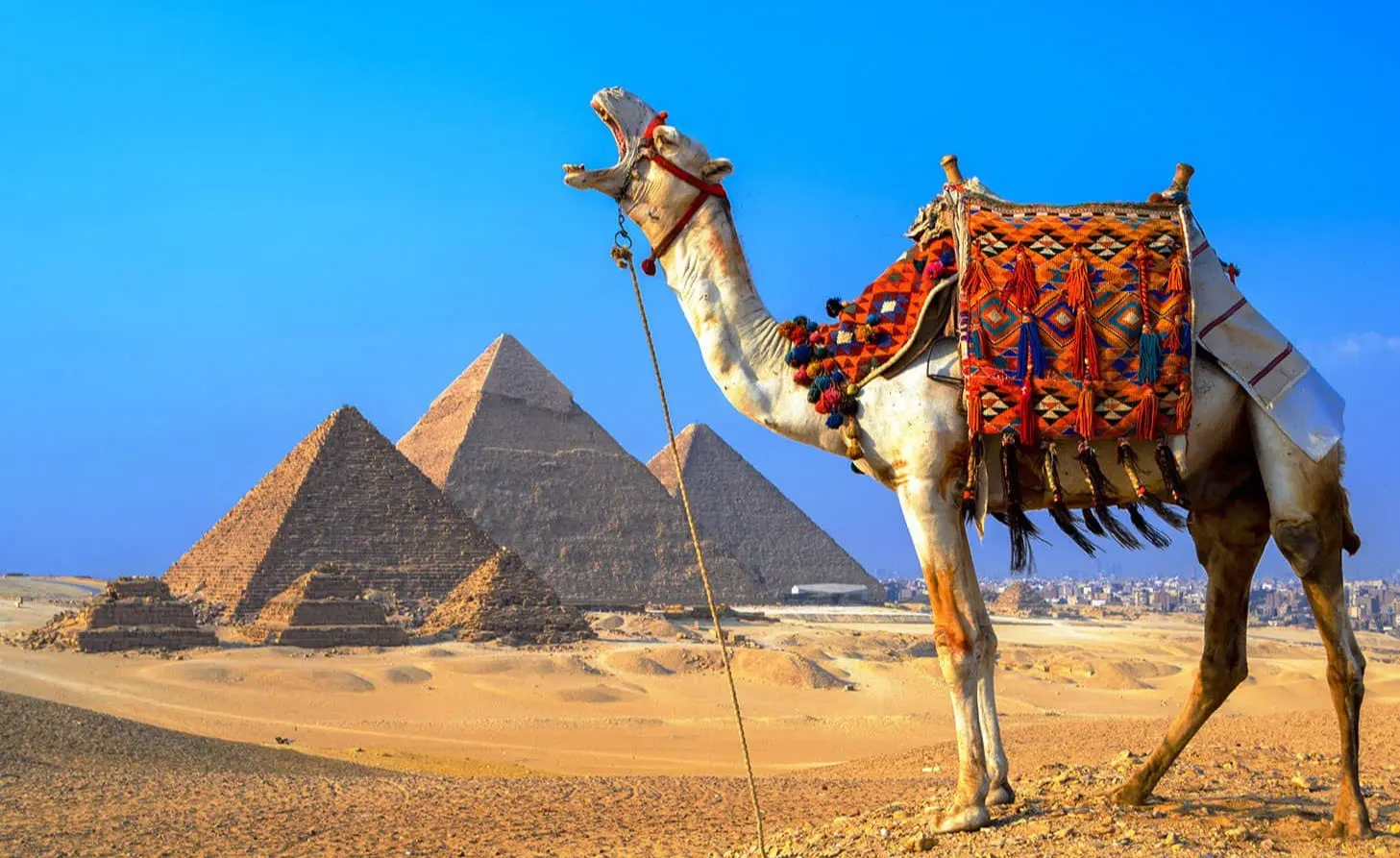 Тайны Древнего Египта, Мифы и герои Древней Греции, Первое знакомство с Пушкинским