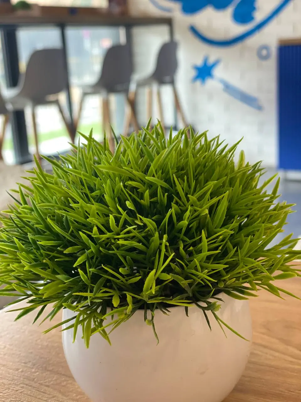 летняя программа от Мастерской танца и перформанса