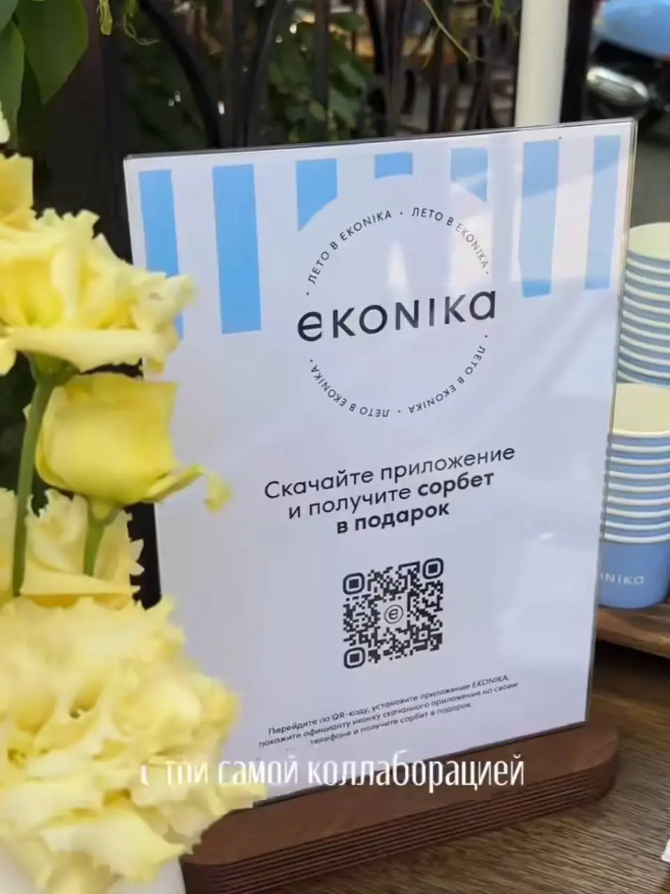 Коллаборация ресторана №13 с брендом EKONIKA