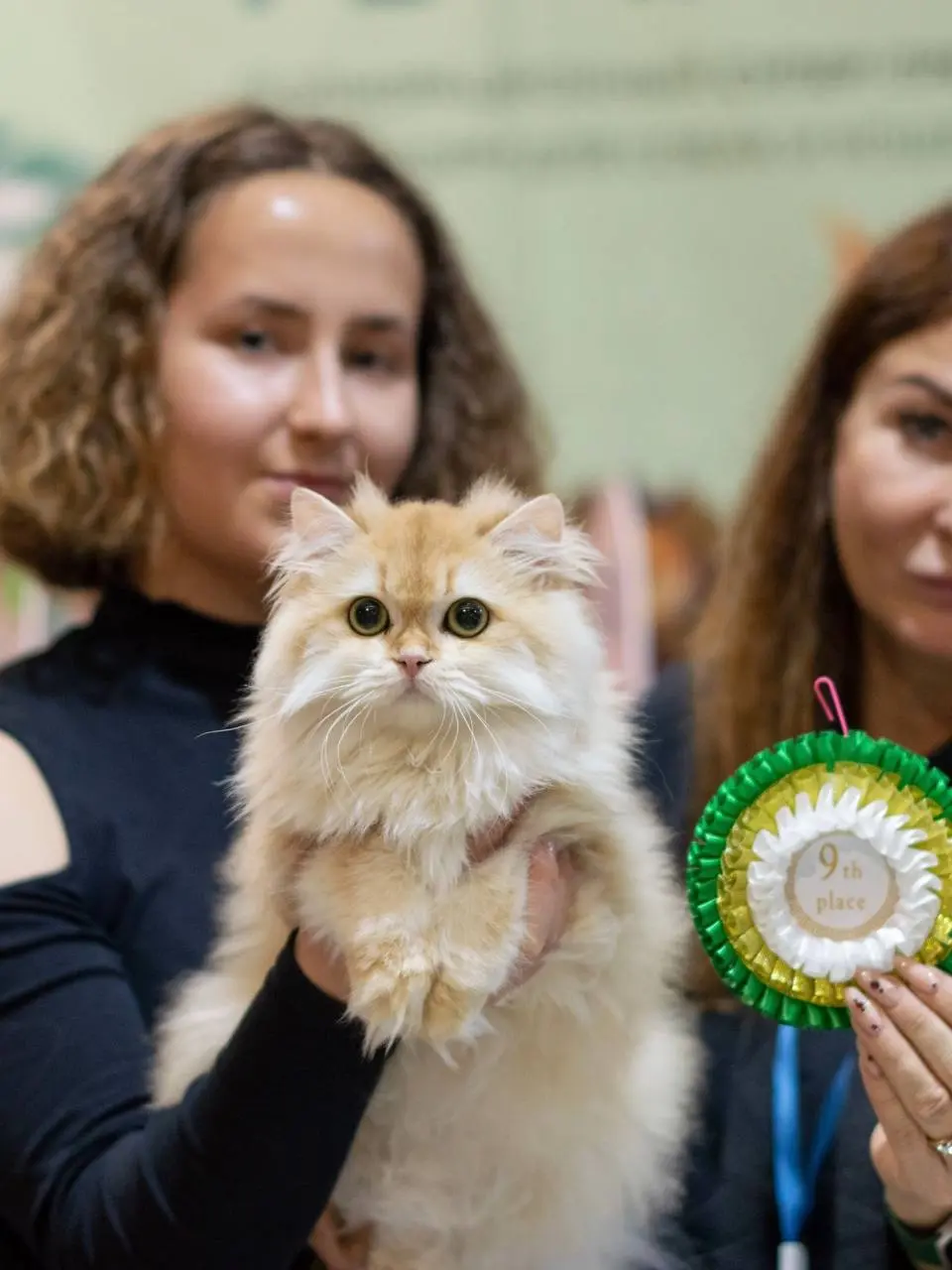 Фестиваль породистых животных «ЛапЛандия»