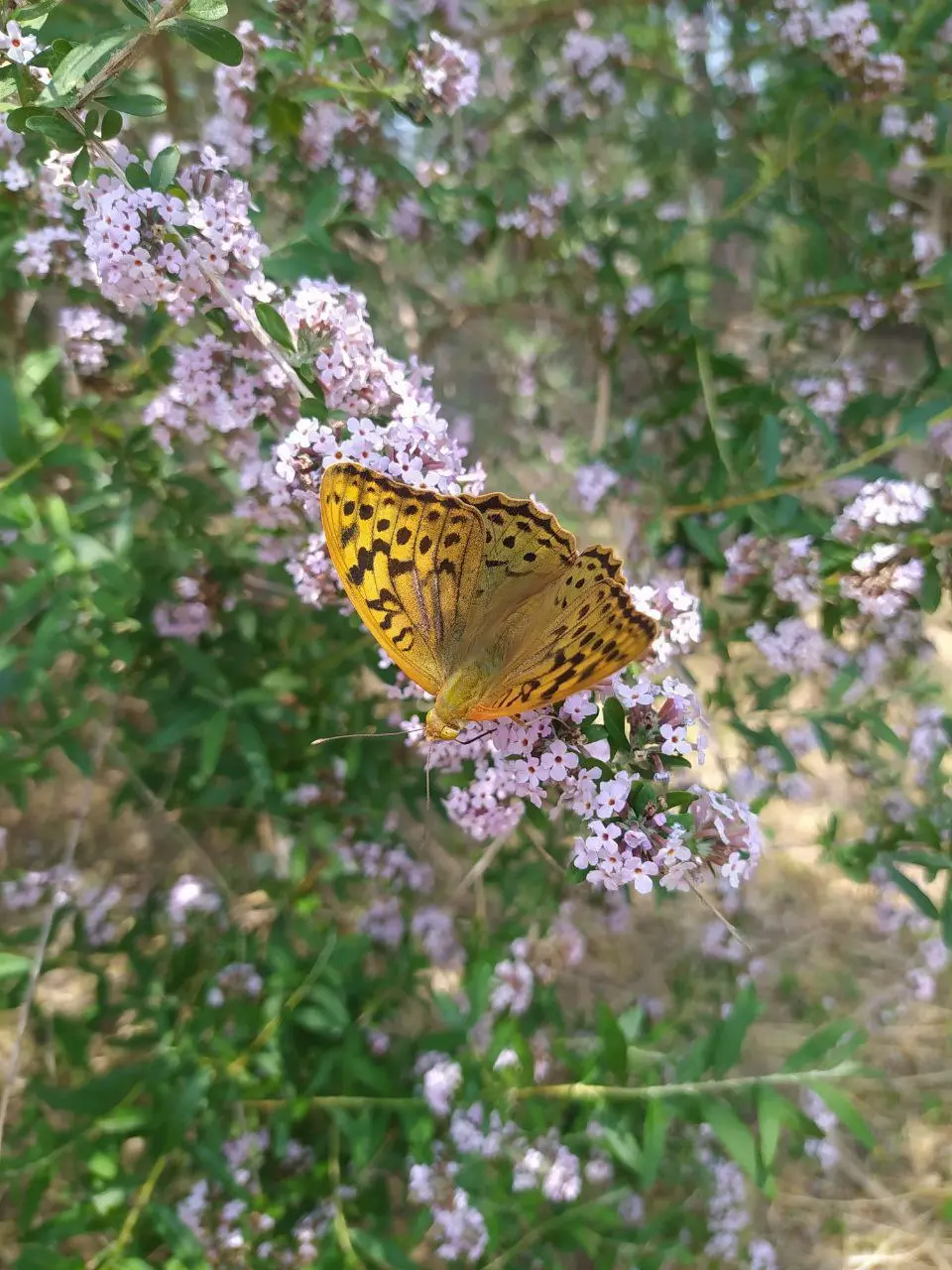 Экскурсия в Ботанике