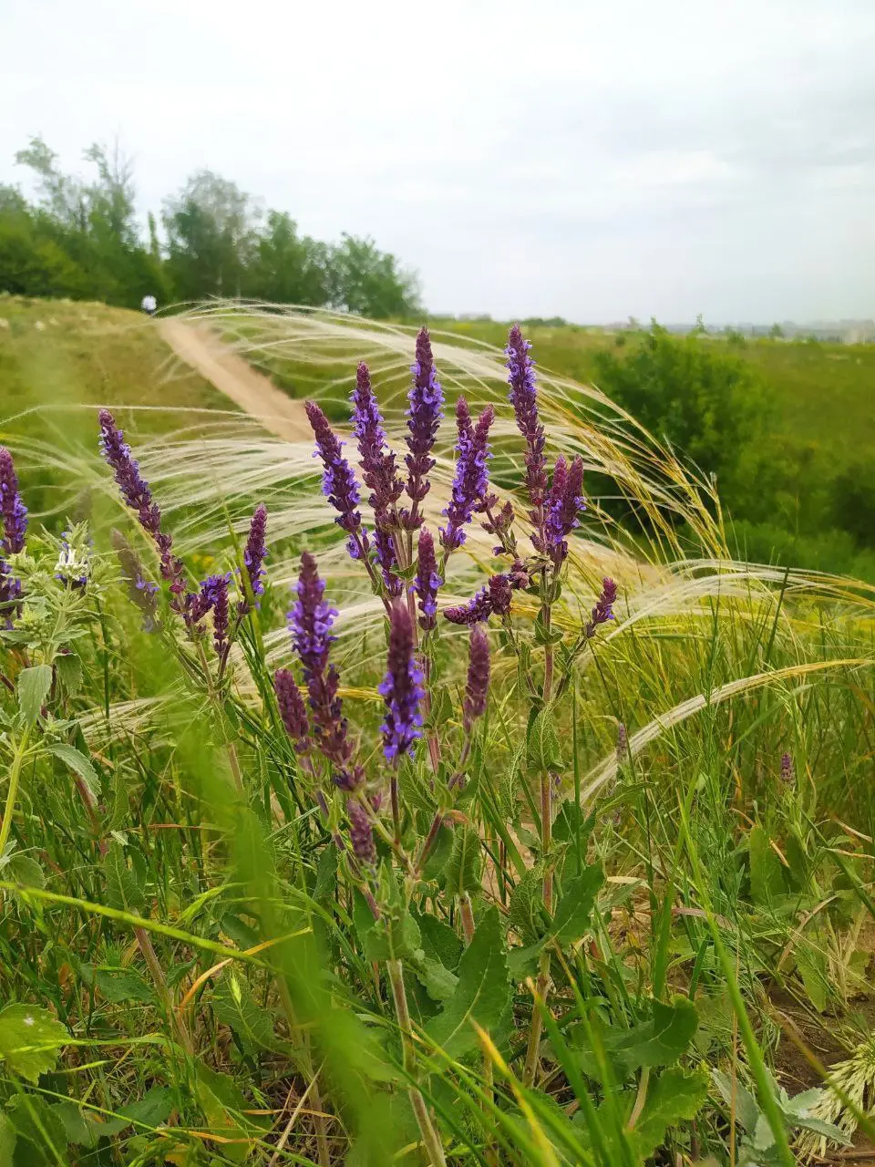 Экскурсия в Ботанике