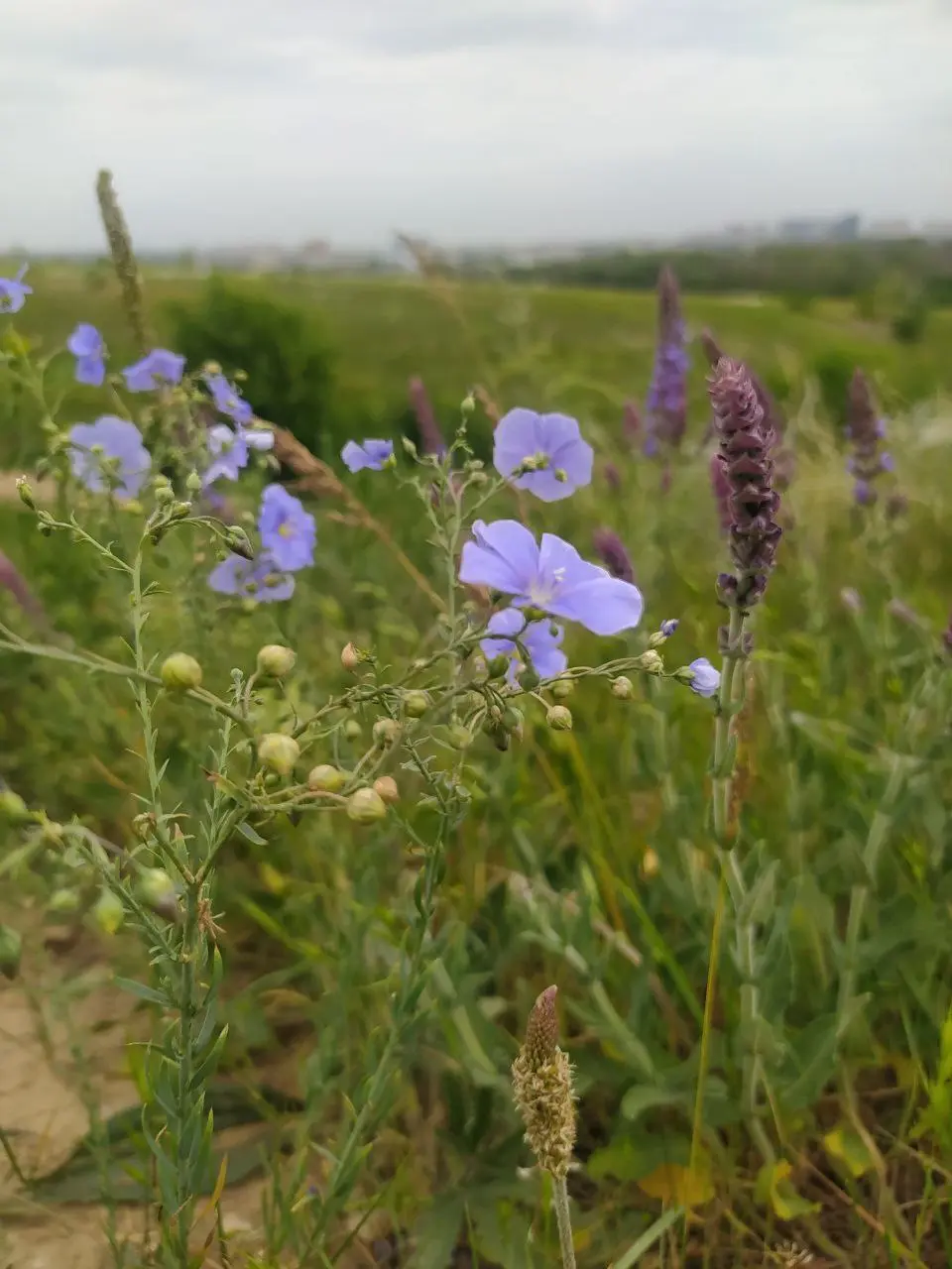Экскурсия в Ботанике