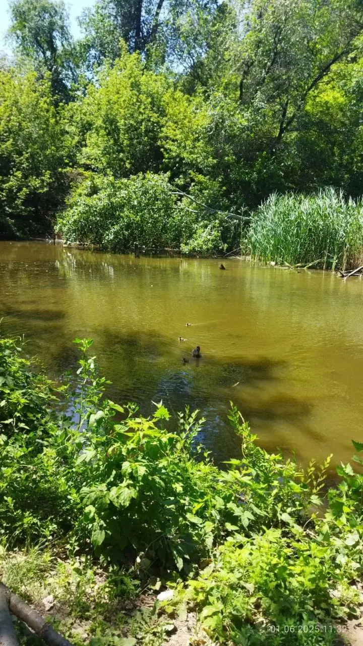 Экскурсия в Ботанике