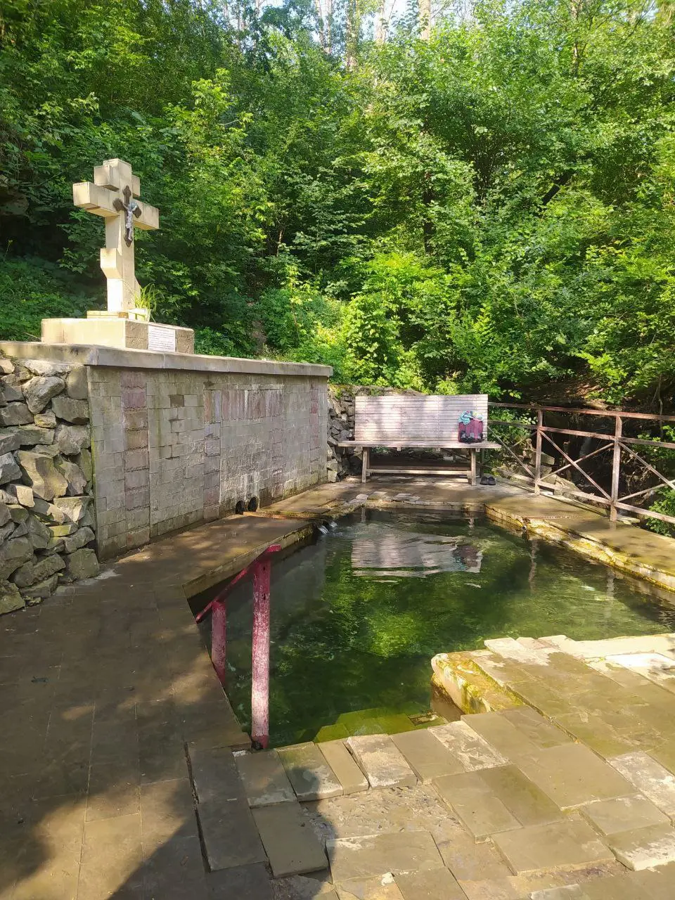 Экскурсия в Ботанике