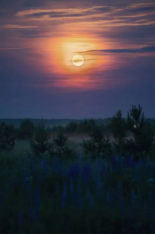 Клубничное полнолуние над Нижегородской областью