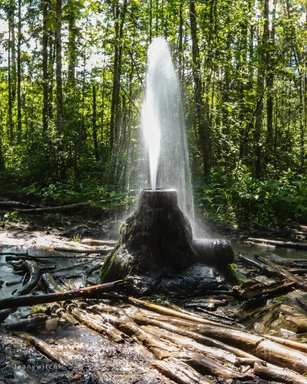 Гатчинские гейзеры
