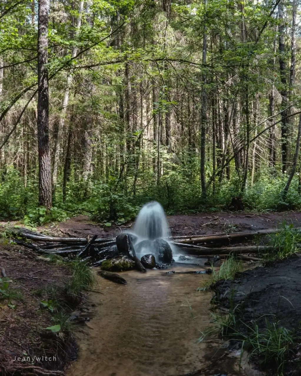 Гатчинские гейзеры