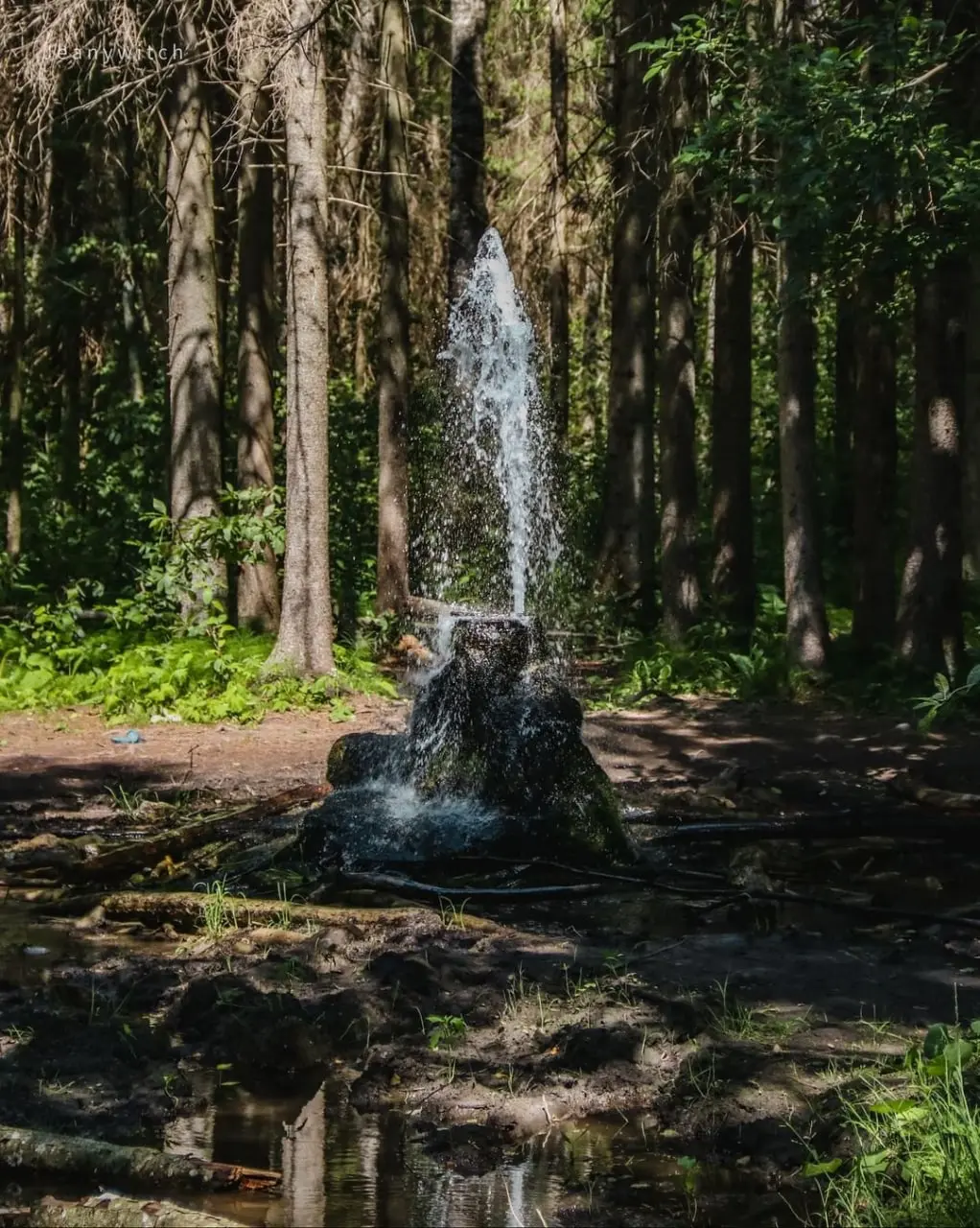 Гатчинские гейзеры