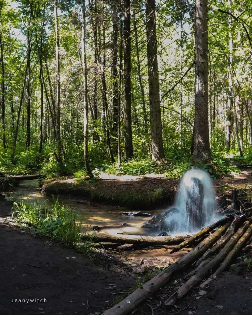 Гатчинские гейзеры