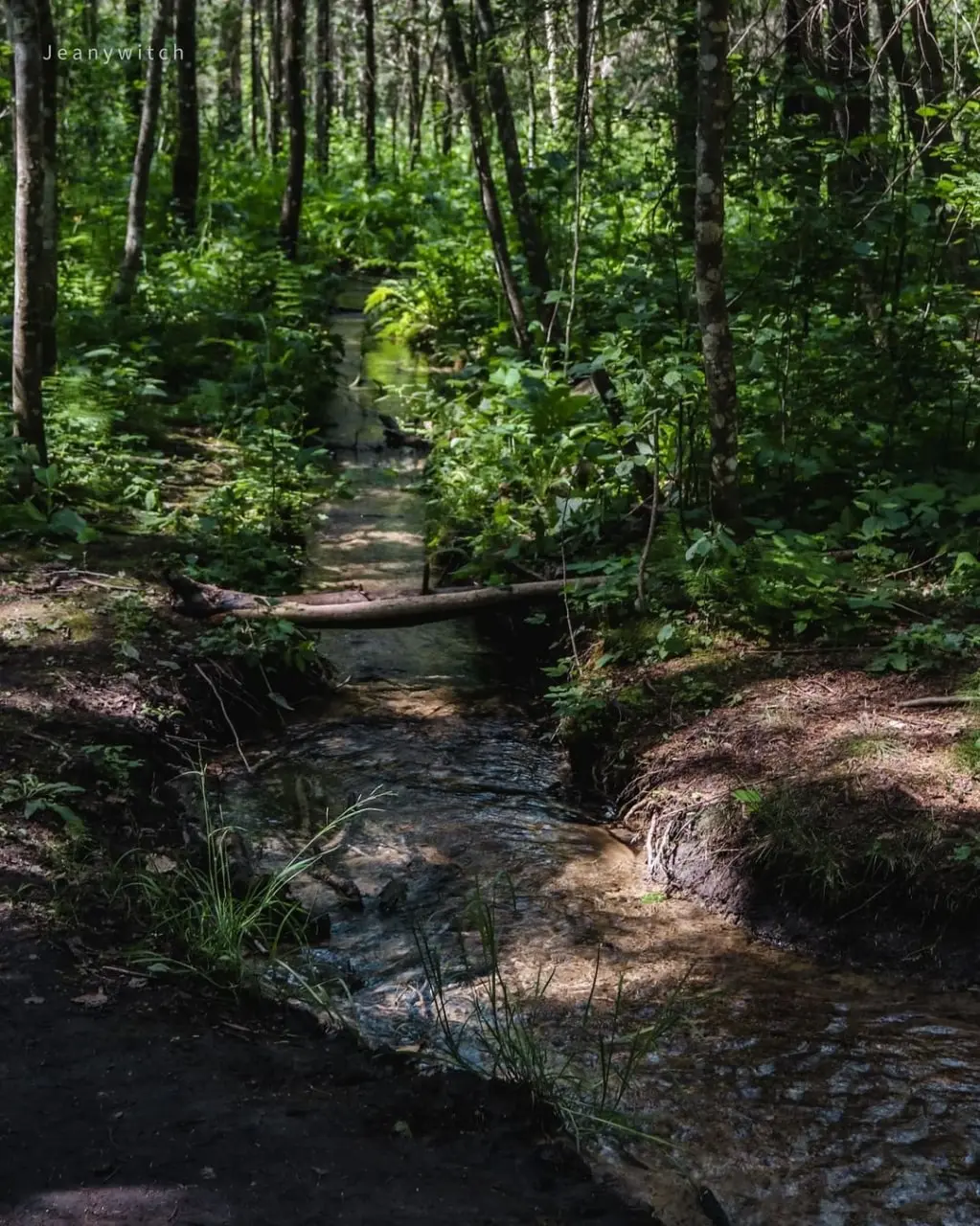 Гатчинские гейзеры