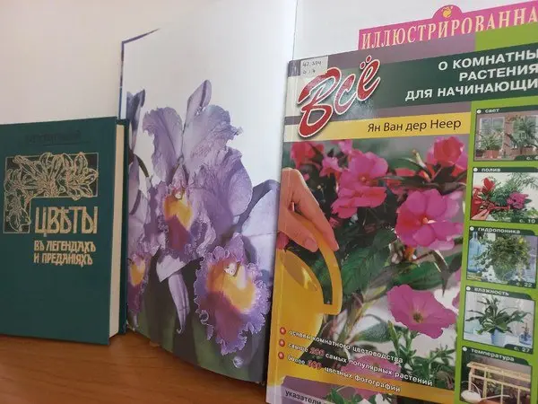 Эко-квест "Цветочные бродилки"