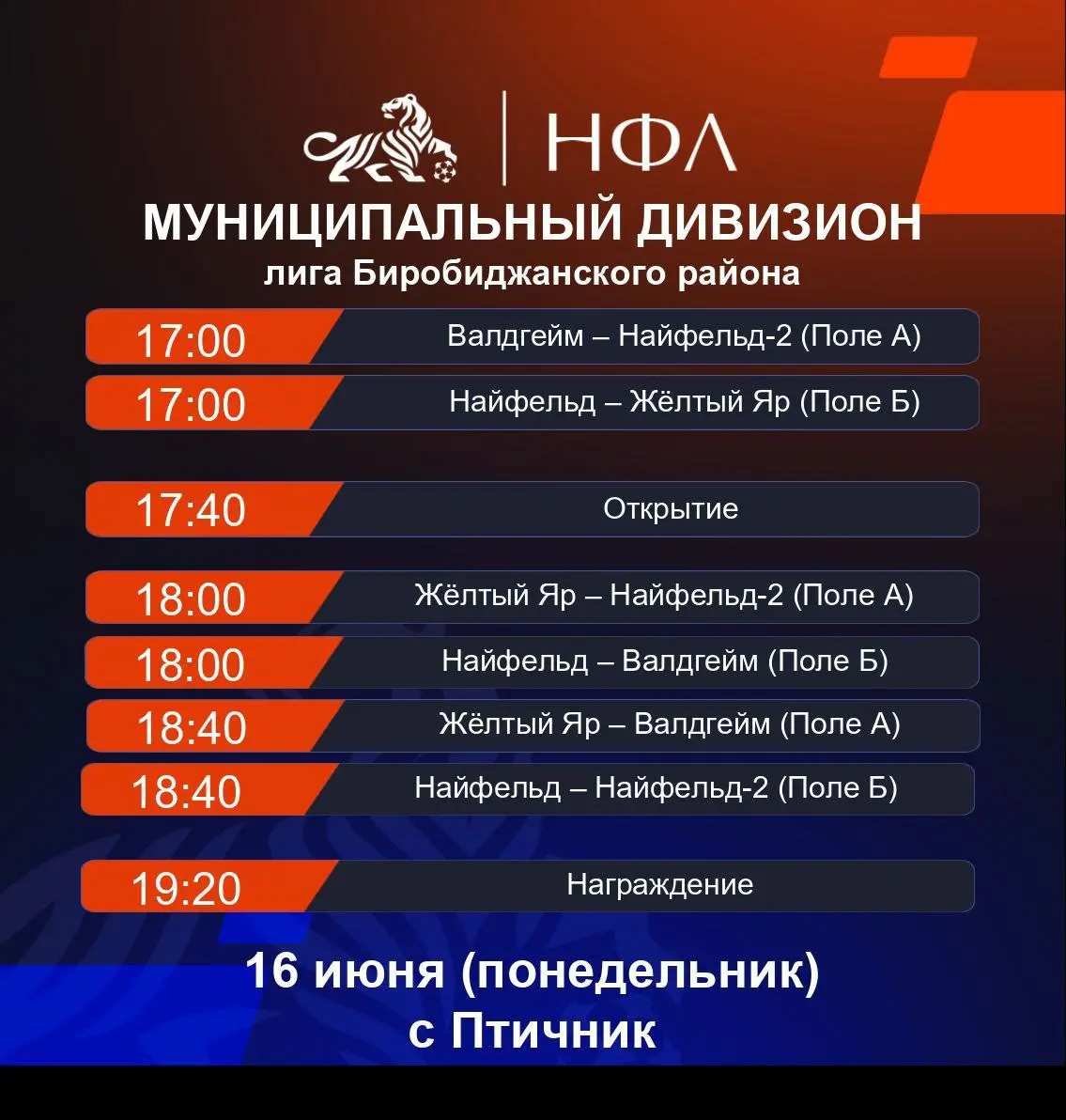 Лига Биробиджанского района