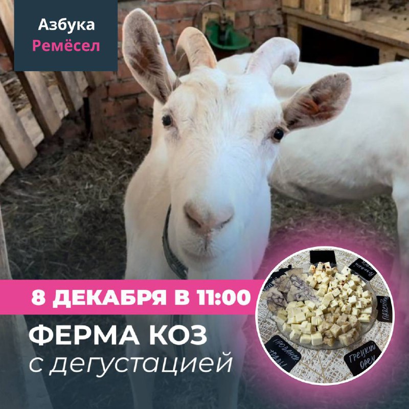 Ферма коз с дегустацией