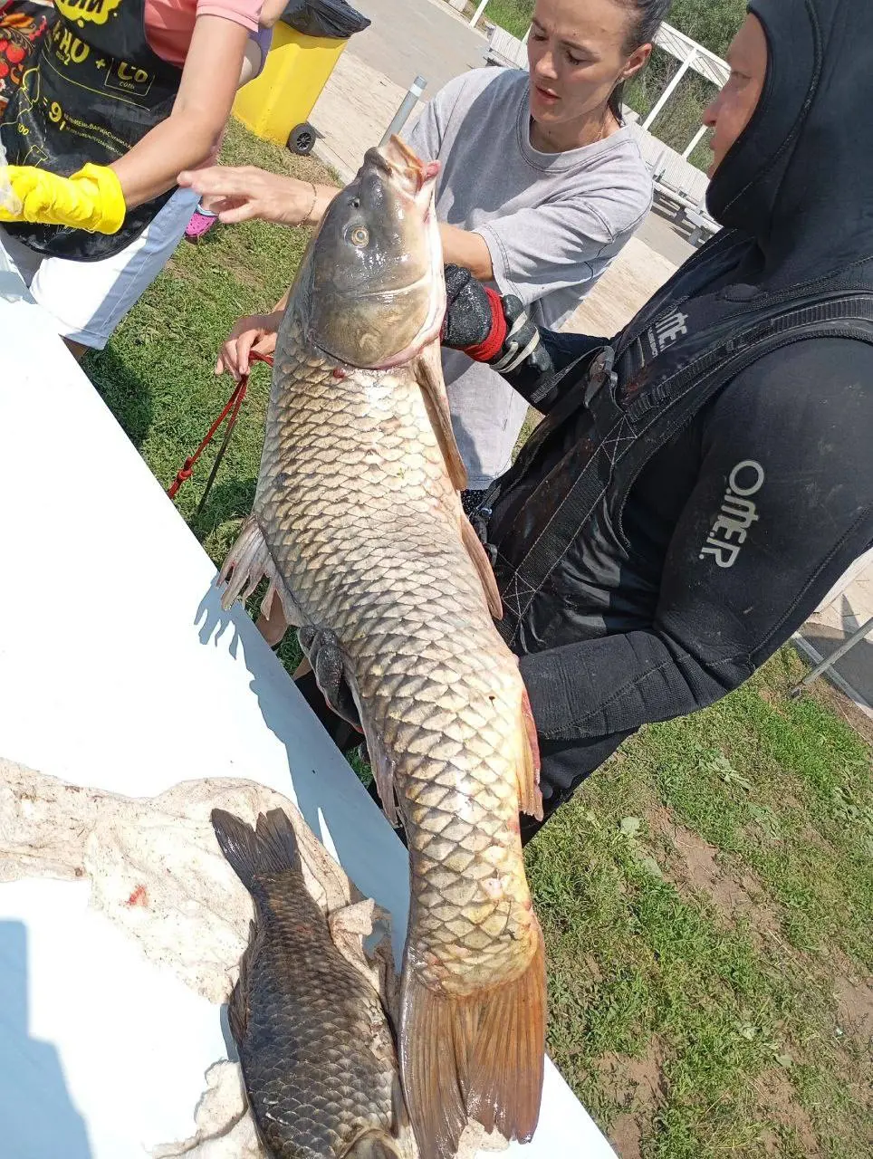 республиканский фестиваль по подводной охоте "Открытие сезона – 2025"