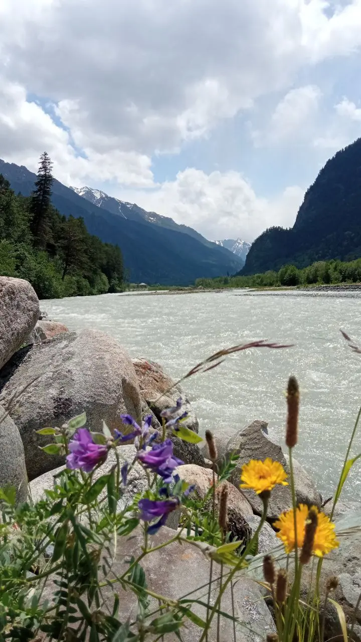 Вопреки прогнозам