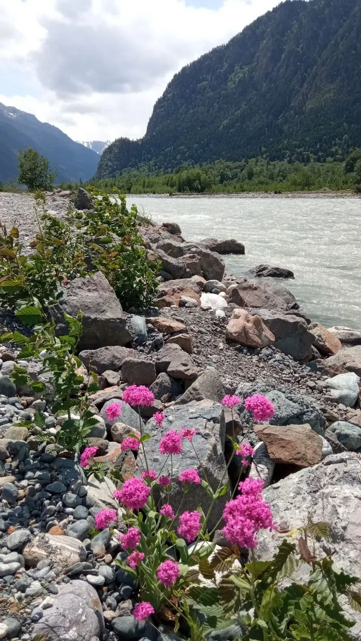 А дождя - то и не было...😊