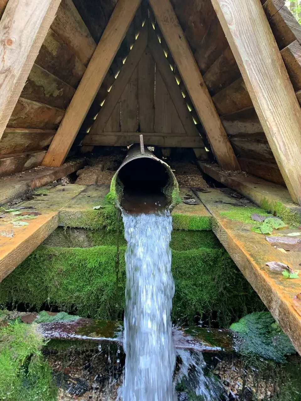 вечерний ПОХОД  С ФОНАРИКАМИ по заброшенной ж/д