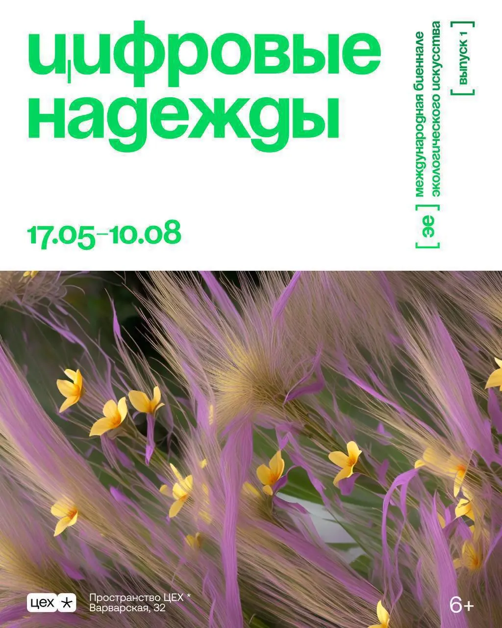 Цифровые надежды