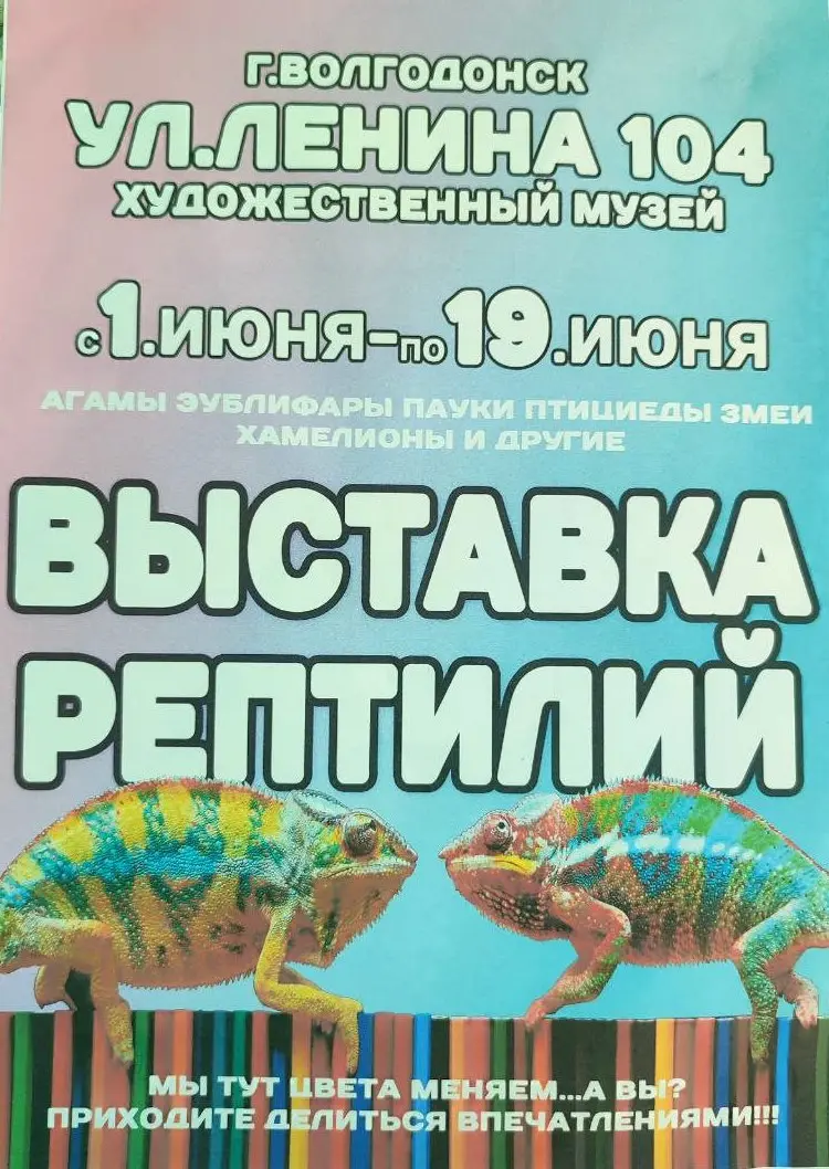 выставка рептилий