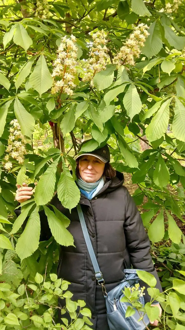 Посещать выставки, усадьбы, музеи, интересные события в Москве и Московской области по выходным дням