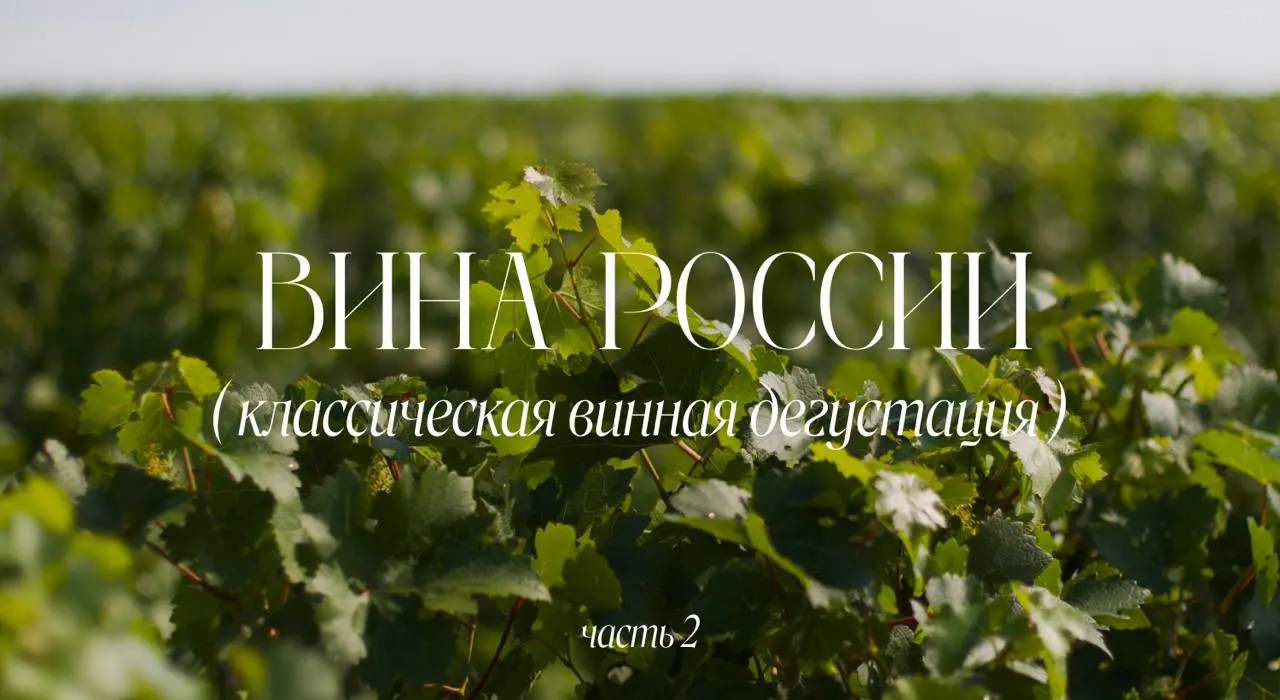 Вина России. Часть 2. Классическая винная дегустация