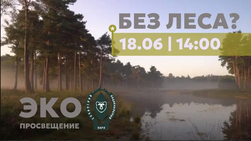 Встреча эко-просвещения и просмотр документального фильма «Без леса?»