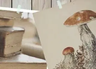 Лекция «История ботанической иллюстрации в микологии»