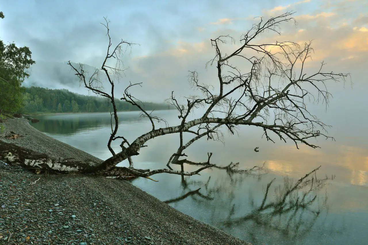 Погода и планы на день в Республике Алтай