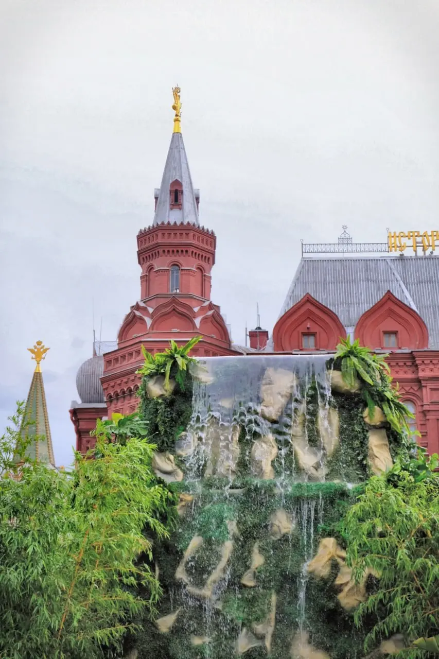 Сады и цветы