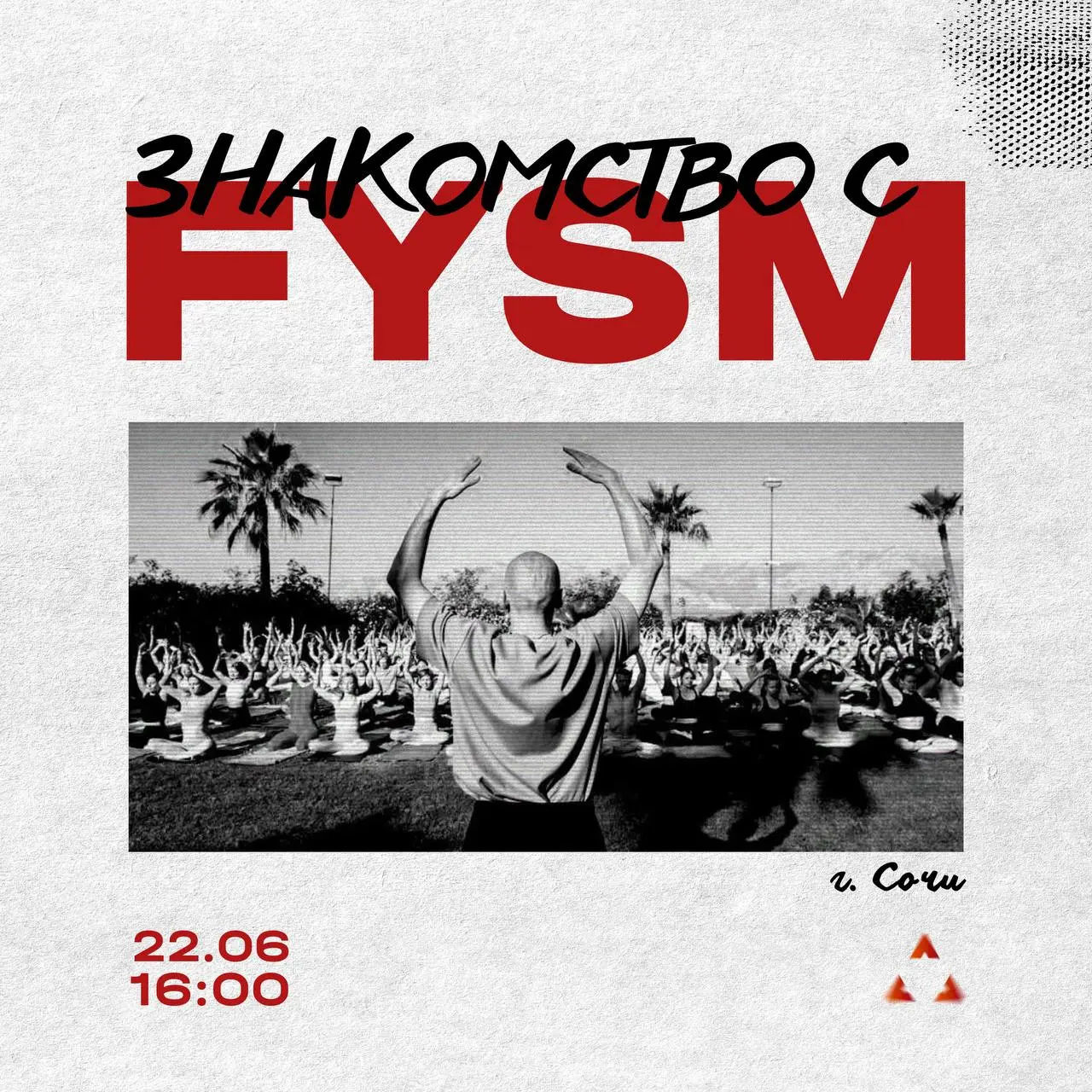 Знакомство с FYSM