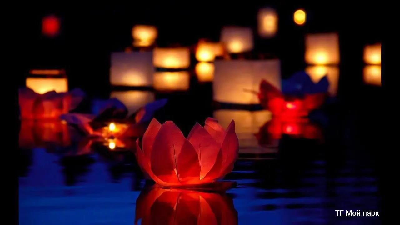 День Дракона в ЦПКиО