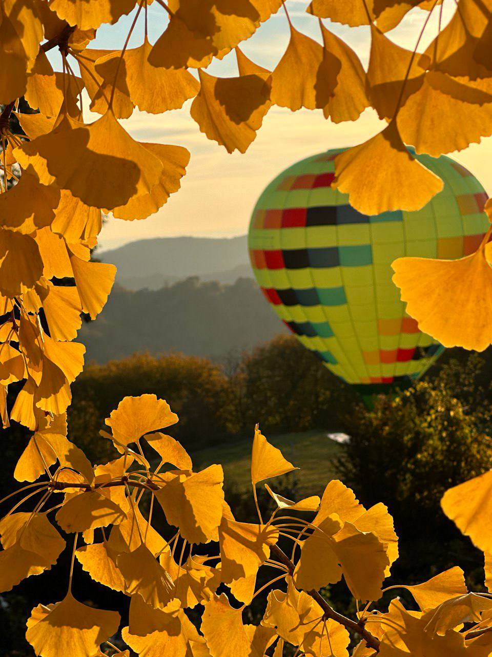 Запуск воздушного шара