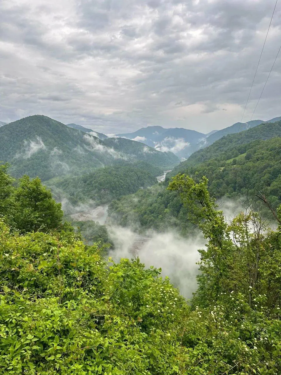 Солохаул Парк - эко-парк в Сочи
