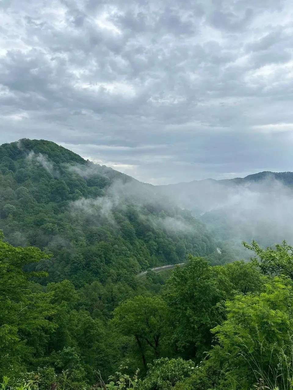 Солохаул Парк - эко-парк в Сочи