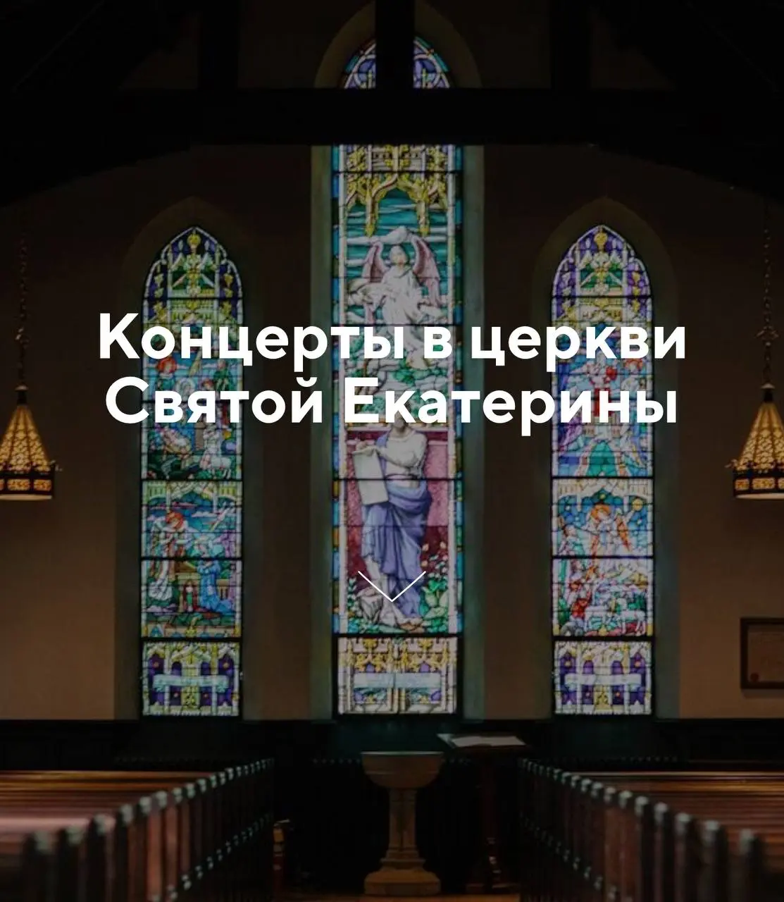 Органные концерты в Казанкирхе