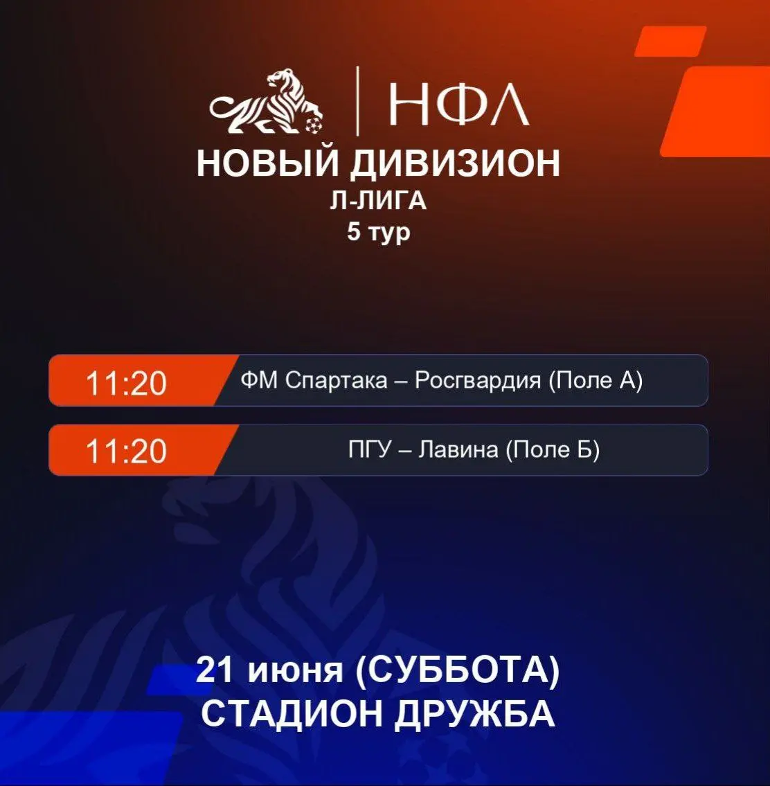 Неформальная Футбольная Лига (6+)