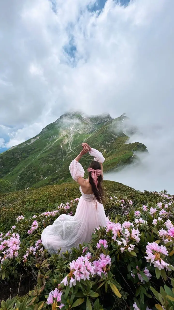 ПОСЛЕДНИЕ РОДОДЕНДРОНЫ НА ХРЕБТЕ АИБГА