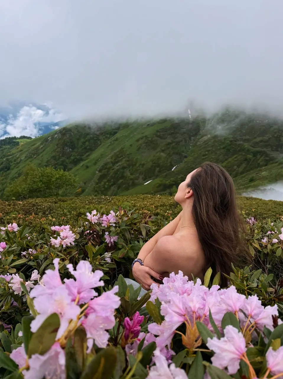 ПОСЛЕДНИЕ РОДОДЕНДРОНЫ НА ХРЕБТЕ АИБГА