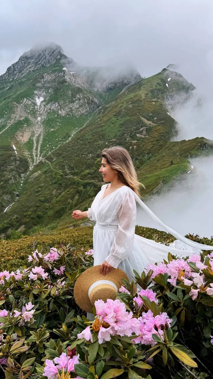 ПОСЛЕДНИЕ РОДОДЕНДРОНЫ НА ХРЕБТЕ АИБГА