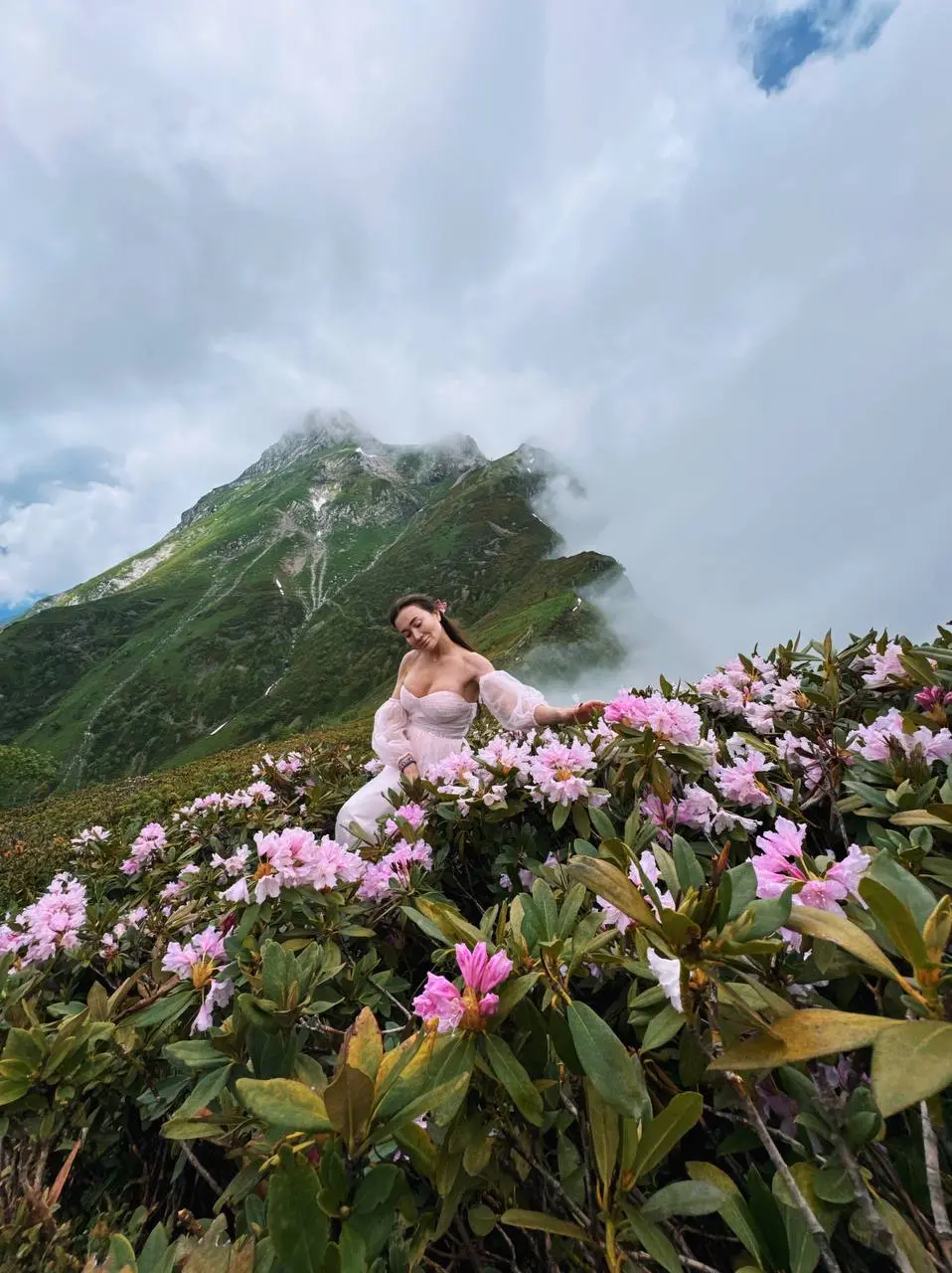 ПОСЛЕДНИЕ РОДОДЕНДРОНЫ НА ХРЕБТЕ АИБГА