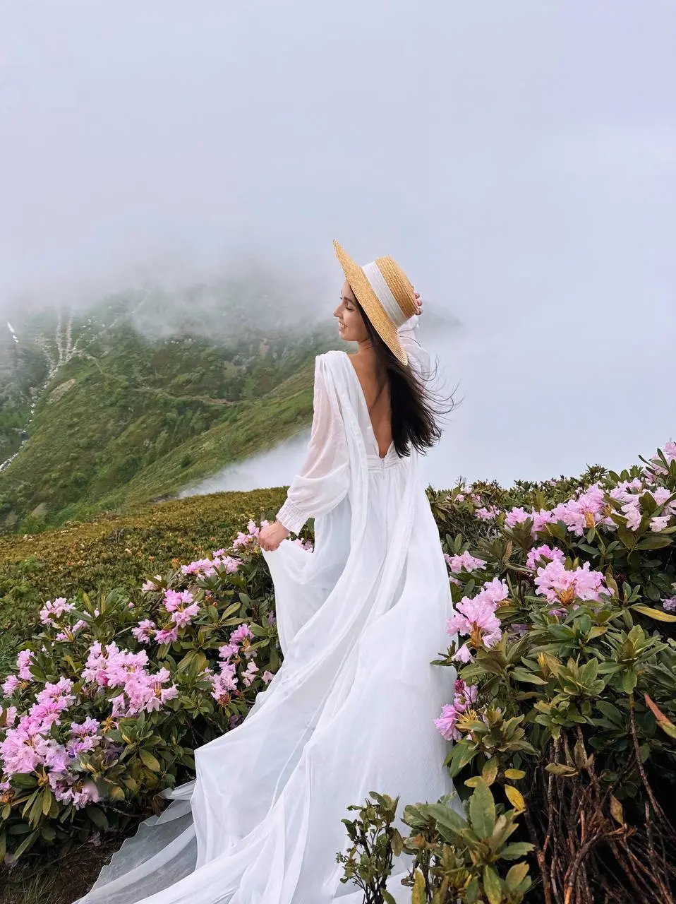 ПОСЛЕДНИЕ РОДОДЕНДРОНЫ НА ХРЕБТЕ АИБГА