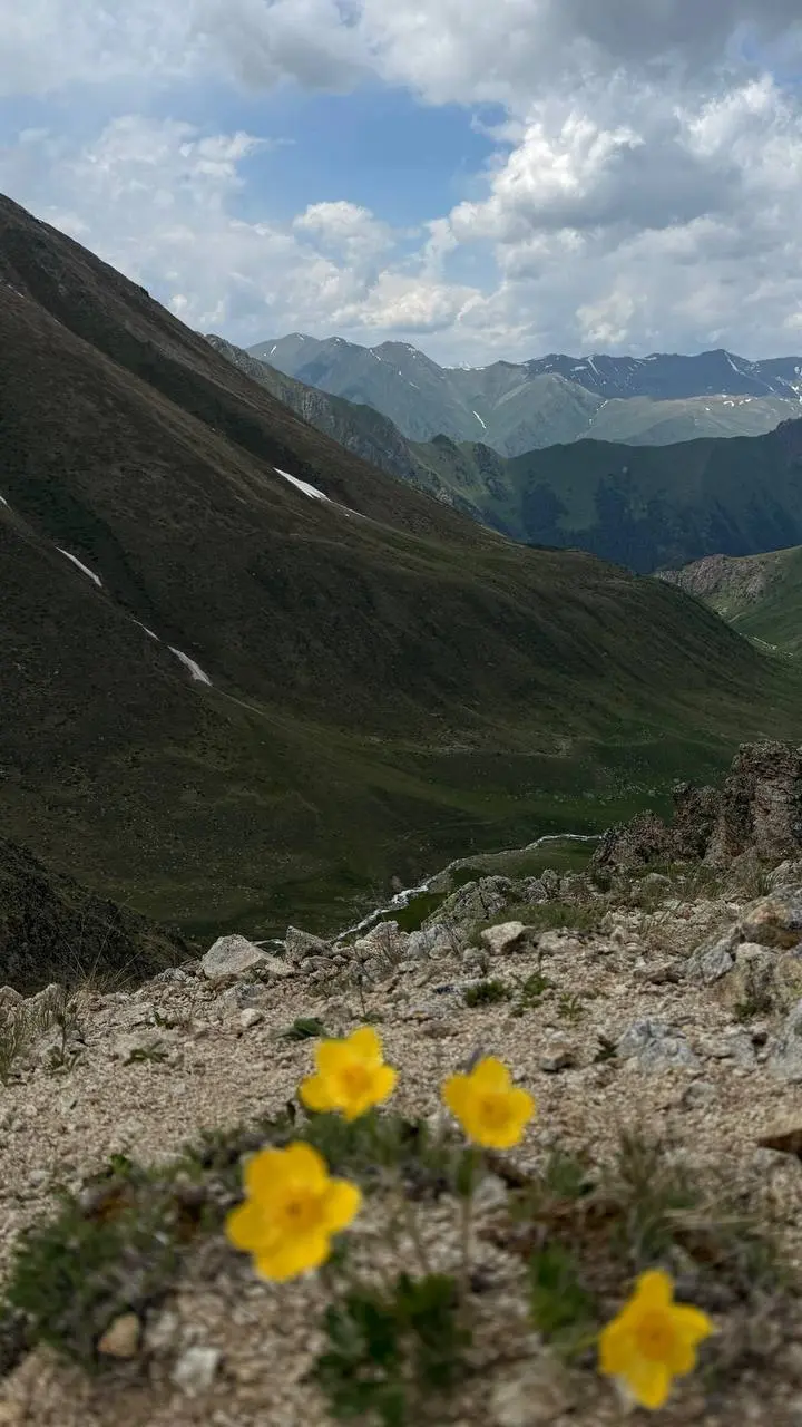 Открытие квадроэкскурсий на Теберде