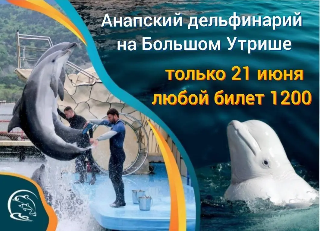день рождения дельфинария на Большом Утрише