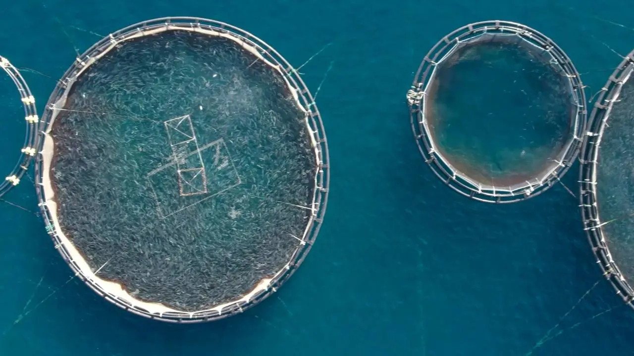 ECOCUP FILM FESTIVAL